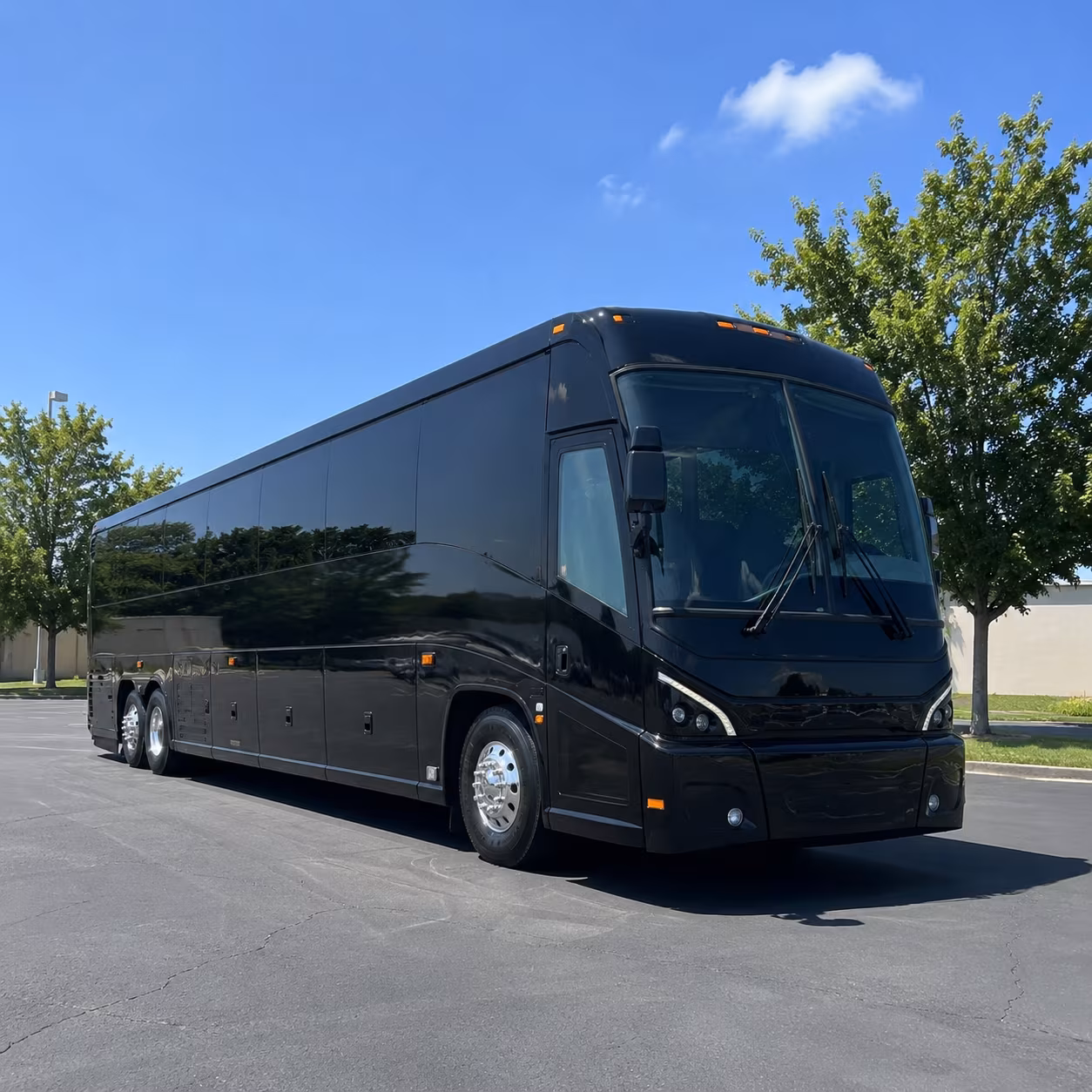 richmond 56 passenger charter bus